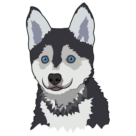 Signmission Pomsky Dog Decal, Dog Lover Decor Vinyl Sticker D-12-Pomsky